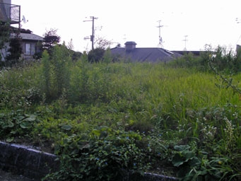 お庭のお手入れ・草刈り・除草事例